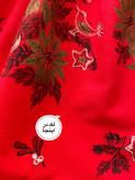 پیشبند دامنی