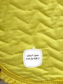 زیربشقابی دورچین